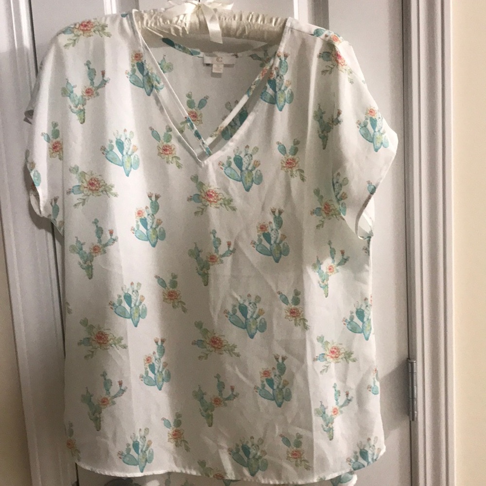 Cactus top